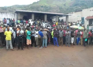 Ituri : une cinquantaine de détenus libérés de la prison centrale de Mambasa