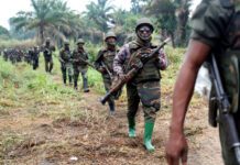LES FARDC SE REJOUISSENT CONTRE LE M23