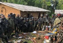 At least 26 killed in attack in South-West Cameroon