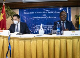 China offered its mediation peaceful settlement of disputes in the Horn of Africa