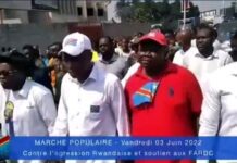 Fayulu et Lisanga violentés lors de la marche anti-Rwanda