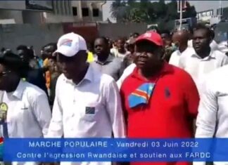 Fayulu et Lisanga violentés lors de la marche anti-Rwanda