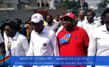 Fayulu et Lisanga violentés lors de la marche anti-Rwanda