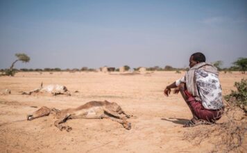 Devastating drought threatens the Horn of Africa