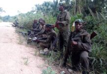 Rutshuru : une vingtaine d’éléments de l’armée rwandaise et du M23 tués par les FARDC à Ntamugenga