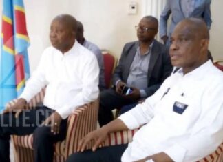 MARTIN FAYULU ET ADOLPHE MUZITO : LA CELLULE DE LAMUKA SE MET AU TRAVAIL
