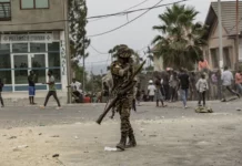 OYO MBOKA TE – SUIVEZ MONA O KAMUA ET PARTAGER – C’EST DE LA JUNGLE.