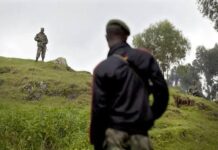 Nord-kivu: Un militaire Congolais arrêté au Rwanda, sera t-il liberer?