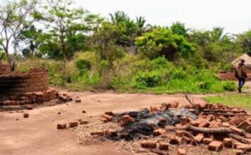ALERTE: LES RWANDAIS VIENNENT DE DEPLACER LES BORNES EN ITURI, POUR S’EN SERVIR DU DECOUPAGE DE CETTE PARTIE.