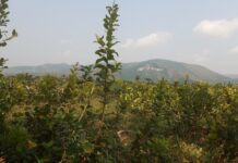 IL Y A QUELQUE CHOSE QUI SE PREPARE CONTRE KINSHASA – SUIVEZ