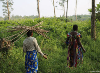 Une nouvelle incursion des hommes armés signalée dans le territoire de Shabunda – SUD KIVU