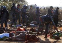 JOHANNESBURG-South African police are investigating the discovery of at least 21 bodies suspected of being illegal miners found near an active mine in the town of Krugersdorp, west of Johannesburg.