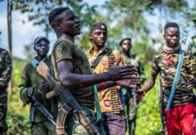 Massacre de Kishishe : Un média international au rescousse des M23? (témoignages). Nathalie Rolley.