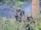 LA REPRISE DES COMBATS, M23. AFRONTEMENT AVEC LES FARDC