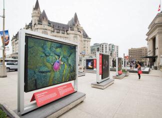 MESSAGE DE L’HONORABLE COSTA PINTO – SUIVEZ