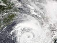 Thousands are homeless and 25 dead following Cyclone Cheneso in Madagascar