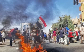 Hundreds Join Anti-France Protest in Burkina Faso Capital
