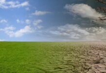 PEUPLE CONGOLAIS SOYONS FIERS DE CE QUE DIEU NOUS A DONNE COMME PAYS – TALA VALEUR