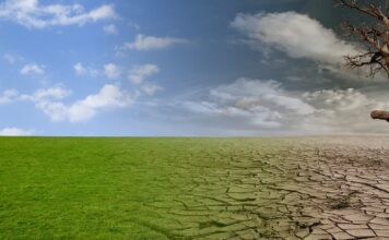 Climate-related disasters become a cause of human trafficking: UN report