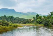 – Felix Tshilombo vient de signer un autre accord pour deguerpir les villagois à Bas Congo – Ba villagois na bas-Congo bazo bengana bango na ba Australiens