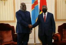 Angola: João Lourenço and Félix Tshisekedi Discuss DRC Security Situation