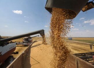 Russia, Ukraine extends grain deal to help world’s poor