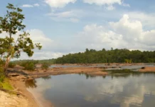 Guyane : Le corps sans vie du militaire tombé d’une pirogue retrouvé