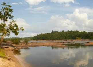 Guyane : Le corps sans vie du militaire tombé d’une pirogue retrouvé