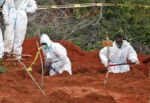 ‘Some of Kenya’s Shakahola cult victims had their organs missing’