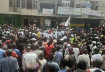 LES CONGOLAIS SONT ÉGARÉS