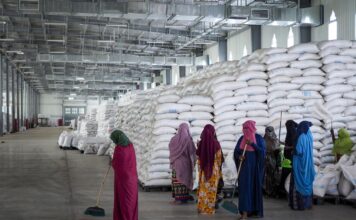 Millions of Ethiopians go hungry again as international aid is paused after massive theft