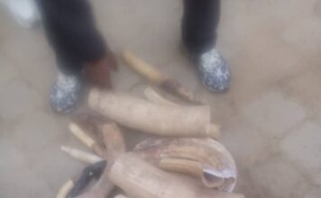 l’ONU Monusco surpris par les agents anti-fraude-une peine de 10 ans de prison.