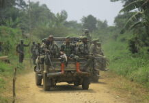 “DRC Rebel Group Kills at Least 19 in Attack on Eastern Town”