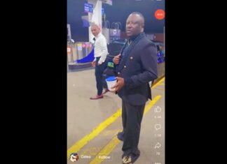 Musique: Est ce que Celeo est-il Libéré ?