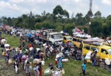 Dans l’est de la RDC, les bombardements du M23 ont vidé Sake de ses habitants.