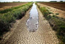 Zambia declares national emergency over drought