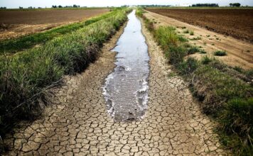 Zambia declares national emergency over drought