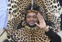KwaZulu-Natal Province Plans New Palace for Zulu King