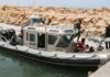 “Europe Migrant Crisis: Boat Carrying Over 40 Sudanese Sinks off Tunisia’s Coast”