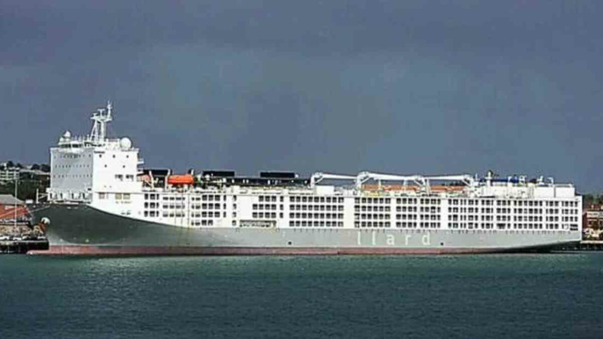 “Probe Launched as Foul Smell from Cattle Ship Engulfs Cape Town”