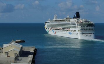 Mauritius Clears Norwegian Dawn to Dock After Cholera Scare