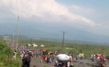 news SUR TERRAIN SAKE – SUIVEZ LA RÉALITÉ-image de CNTLIVE Goma en direct the Sake