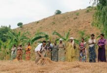 Concerns Mount Over Potential Oil Drilling in DRC