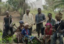 “Reviving African Storytelling: The Quest of Congolese Creatives”