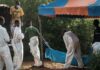“Kenya to Release Bodies of Shakahola Cult Victims for Burial”