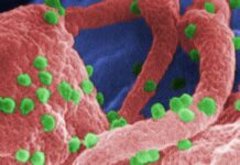 “Hopes for HIV Cure Rise with Gene-Editing Breakthrough”