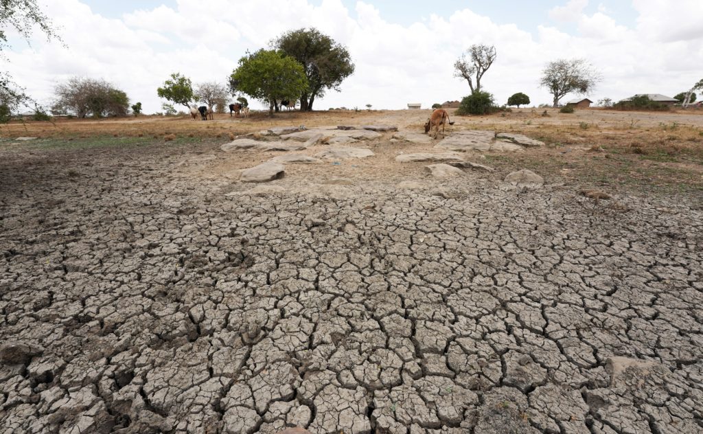 “Zambia’s President Urgently Appeals for Aid Amid Devastating Drought”