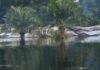 Unprecedented Floods Devastate Eastern Congo, Affecting Nearly 500,000 – WFP
