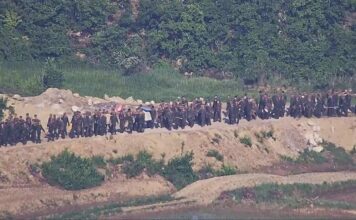 Mozambican Civil Servant Escapes Jihadists’ Siege: “They Would Have Beheaded Me”