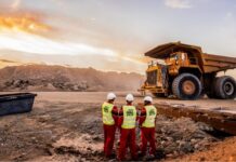 Central African Republic Halts Operations of Chinese Mining Company